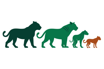 set of Tiger vector silhouette illustration isolated on white background