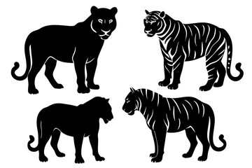 set of Tiger vector silhouette illustration isolated on white background
