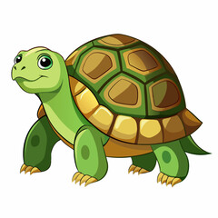 tortoise isolated vector