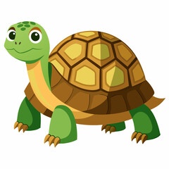 tortoise isolated vector