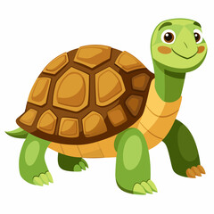 tortoise isolated vector