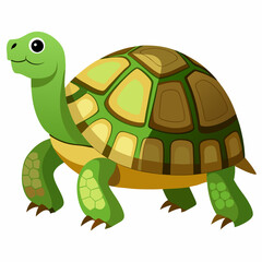 tortoise isolated vector