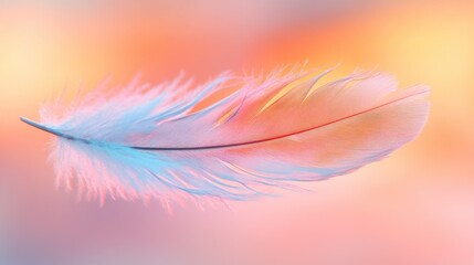 Obraz premium A close up image of a delicate colorful feather