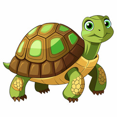 tortoise isolated vector