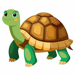 tortoise isolated vector