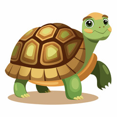tortoise isolated vector