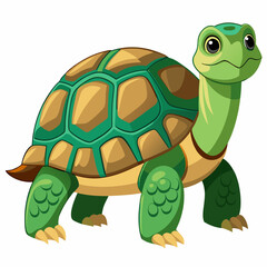 tortoise isolated vector