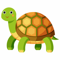 tortoise isolated vector