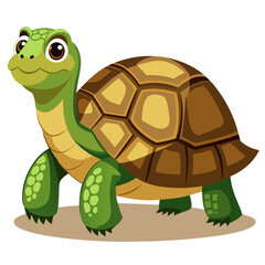 tortoise isolated vector