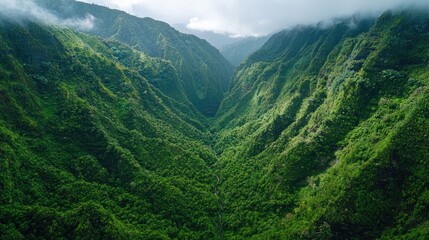 Fototapeta premium Lush, verdant valley carved by mountains.
