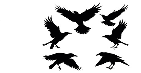 Fototapeta premium Silhouette Crow Vector Set – Black Bird Clipart Designs for Tattoos, Logos, and Art