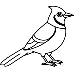 Sleek Jay A Single-Line Vector Design