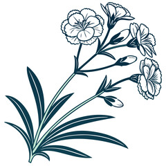  Dianthus Caryophyllus Bold Outline Design