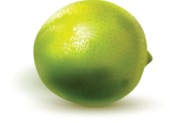 A single, vibrant green lime on a white background