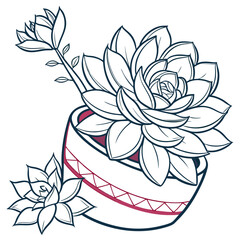  Echeveria Elegans Houseplant Bold Art