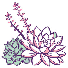  Charming Echeveria Houseplant Art