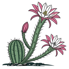  Elegant Echinopsis Oxygona Plant Design