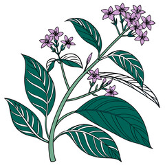  Beautiful Eranthemum Artwork for Interior Design