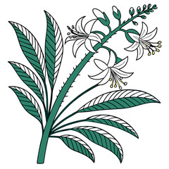  Elegant Ericameria Cactus Art for Modern Spaces