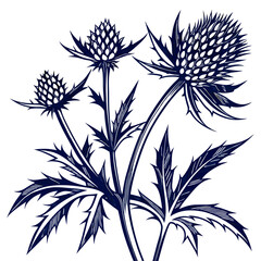  Stylish Eryngium Artwork for Interior Aesthetics