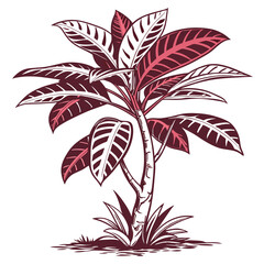  Creative Eucodonia Illustration for Modern Spaces