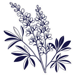  Bold False Indigo Houseplant Design for Decor