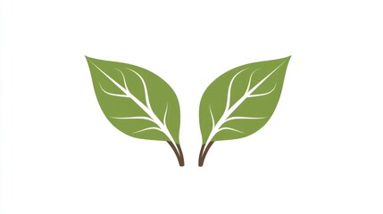 Two leaves logo design against white