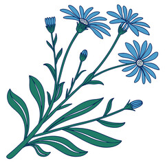  Charming Felicia Amelloides Illustration for Decor