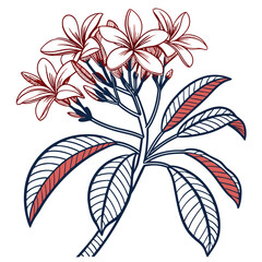  Elegant Fire Bloom Houseplant Outline Art