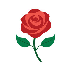 Red rose cartoon style on a white background

