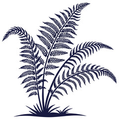  Lush Foxtail Fern Houseplant Vector Design