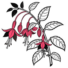  Bold Fuchsia Houseplant Illustration Design