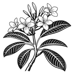  Elegant Gardenia Augusta Houseplant Design