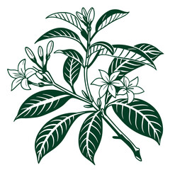  Charming Gardenia Augusta Houseplant Art