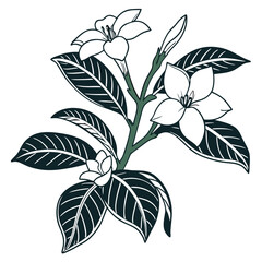  Charming Gardenia Houseplant Vector Design