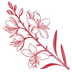  Gaura Houseplant Bold Outline Art