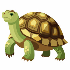 tortoise isolated vector