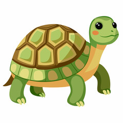 tortoise isolated vector