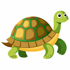 tortoise isolated vector