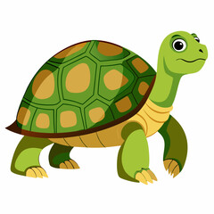 tortoise isolated vector
