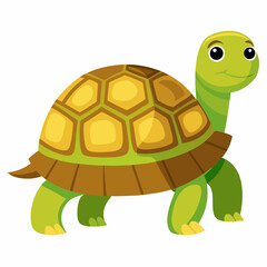 tortoise isolated vector