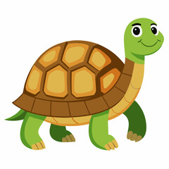 tortoise isolated vector