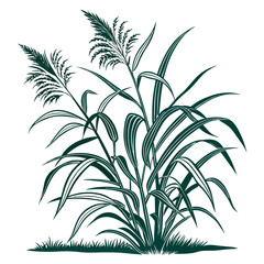  Charming Giant Reed Houseplant Art