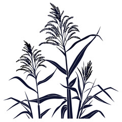 Elegant Giant Reed Plant Design
