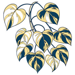  Elegant Golden Pothos Illustration for Home