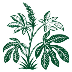  Elegant Green Ginger Illustration for Home