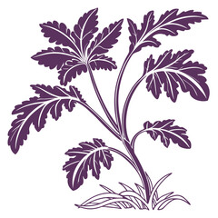  Unique Gynura Houseplant Bold Outline