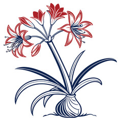  Elegant Haemanthus Houseplant Bold Outline