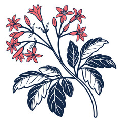  Charming Hatiora Houseplant Outline Design