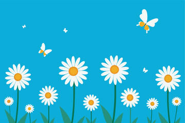 Obraz premium daisies and butterflies